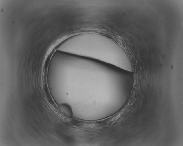 X0000087540342200704270929