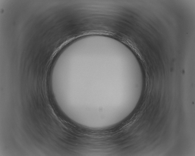 X0000087540348200704270929