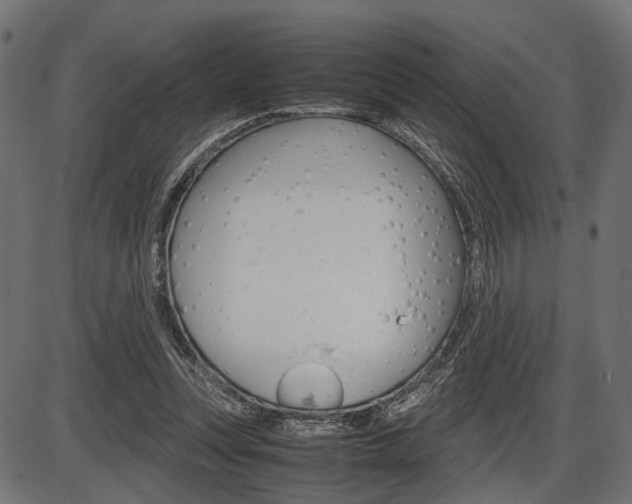 X0000087540351200704270929