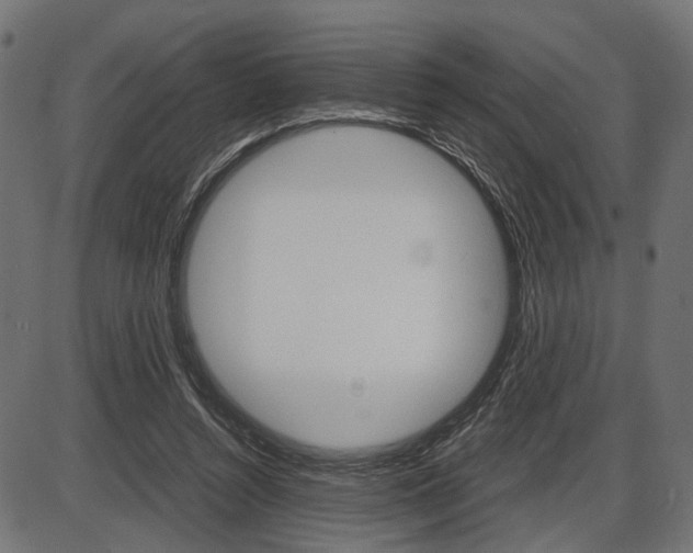 X0000087540352200704270929