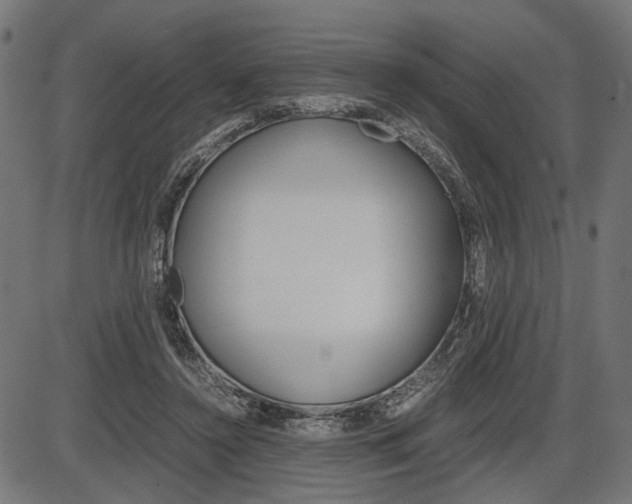 X0000087540356200704270929