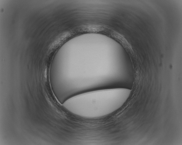 X0000087540358200704270929