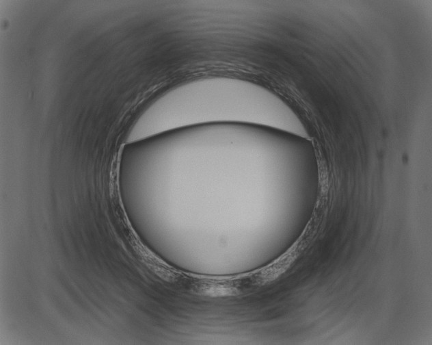 X0000087540360200704270929