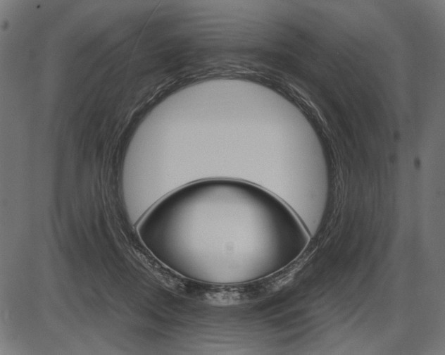 X0000087540362200704270929