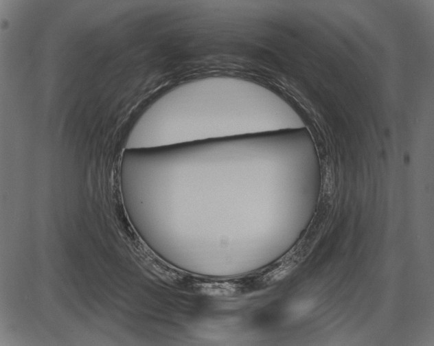 X0000087540363200704270929