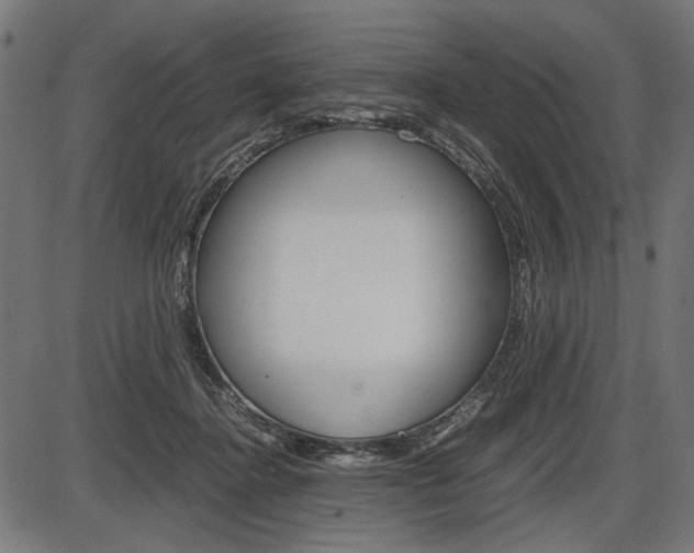 X0000087540364200704270929