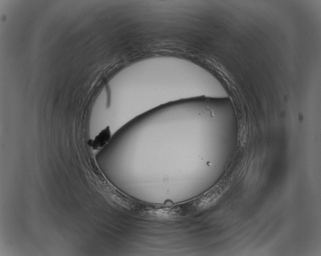 X0000087540365200704270929