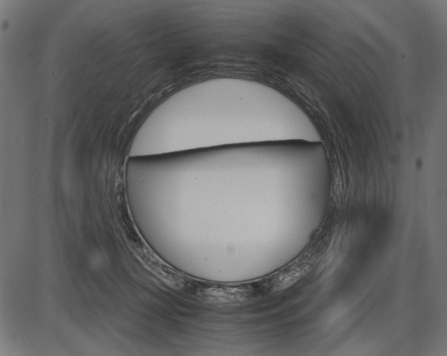 X0000087540367200704270929
