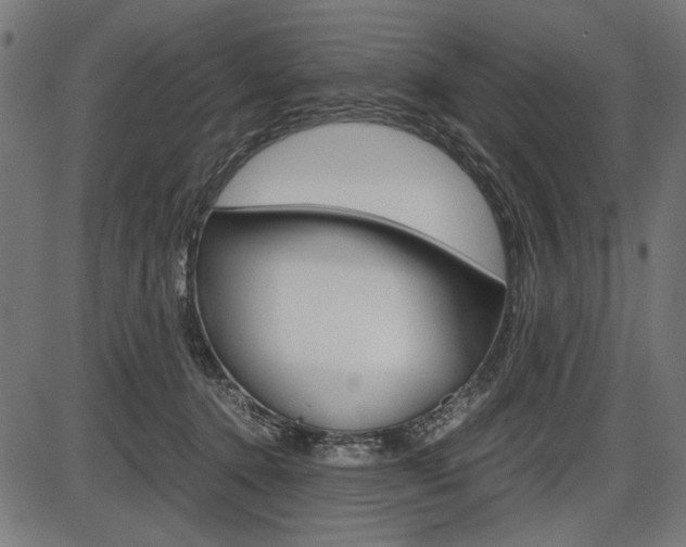 X0000087540368200704270930