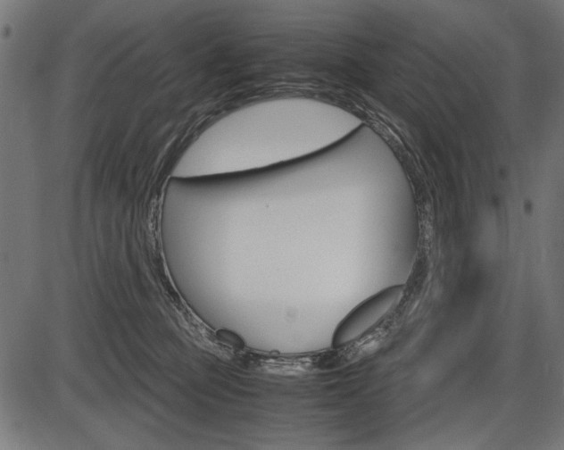 X0000087540373200704270930