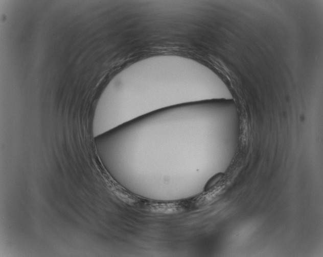 X0000087540377200704270930