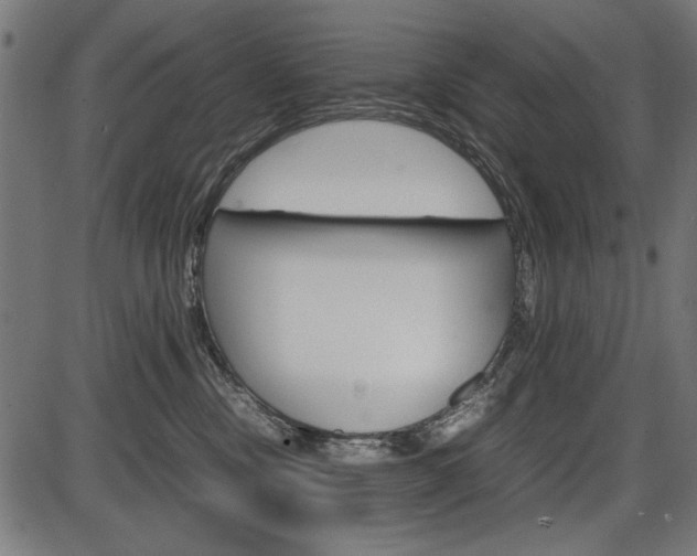 X0000087540378200704270930