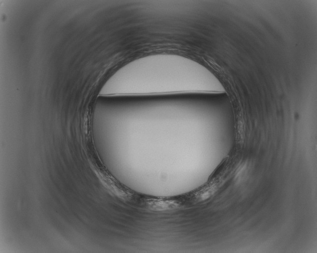 X0000087540379200704270930