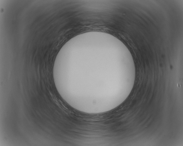 X0000087540380200704270930