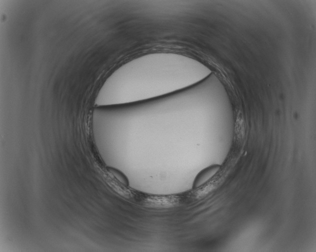 X0000087540381200704270930
