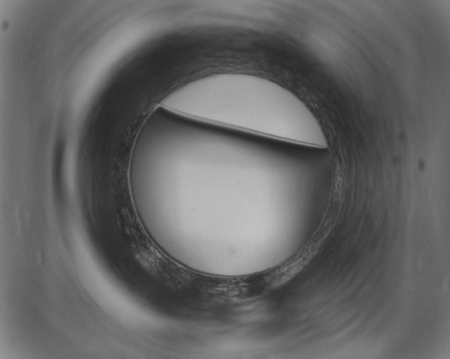 X0000087540383200704270930
