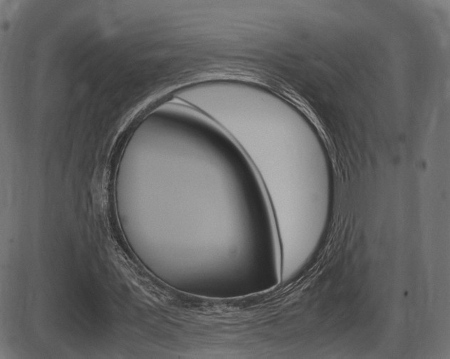 X0000087540387200704270929