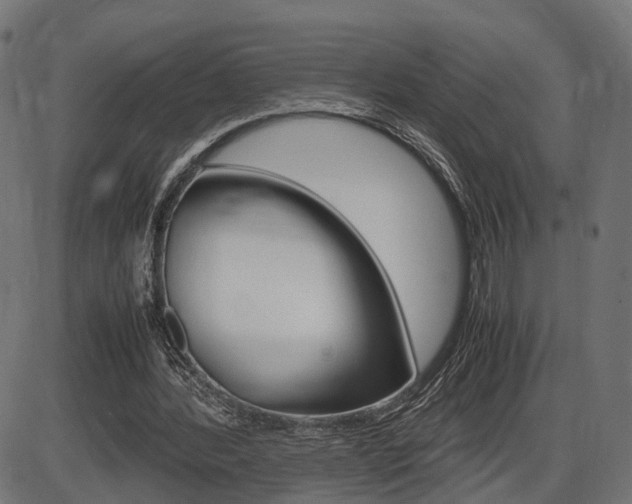 X0000087540388200704270929