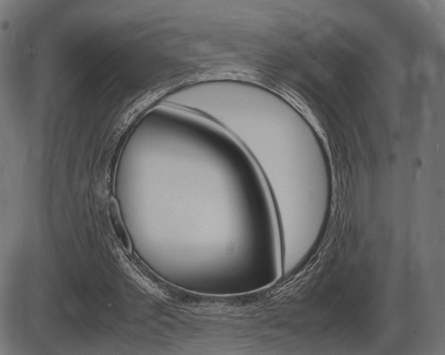 X0000087540389200704270929