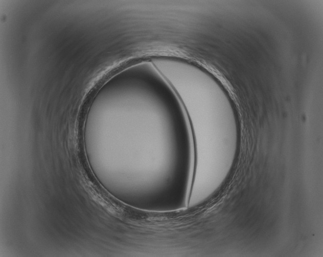 X0000087540391200704270929