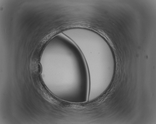 X0000087540393200704270929