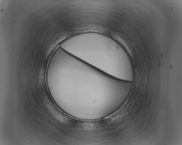 X0000087540394200704270929