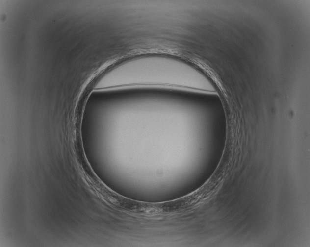 X0000087540395200704270929