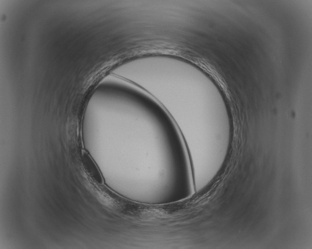 X0000087540397200704270929