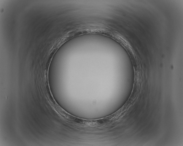 X0000087540401200704270929