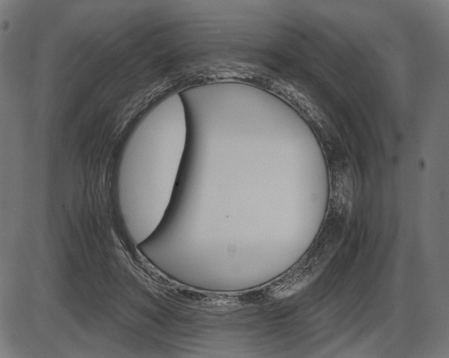 X0000087540402200704270929
