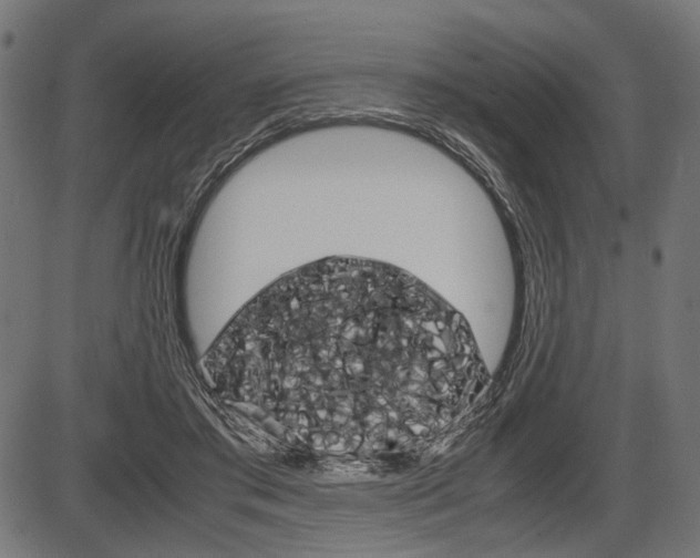X0000087540405200704270929