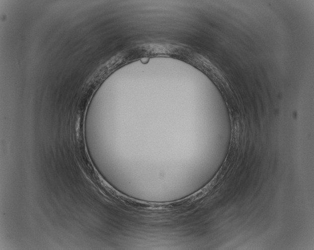 X0000087540406200704270929