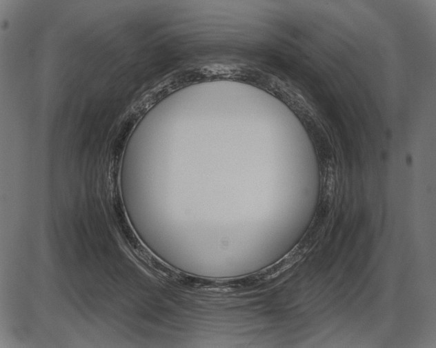 X0000087540408200704270929