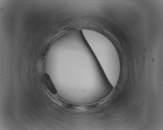 X0000087540409200704270929