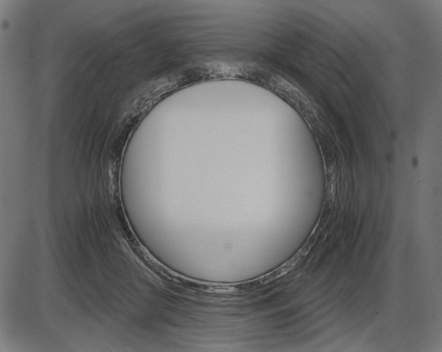 X0000087540410200704270929