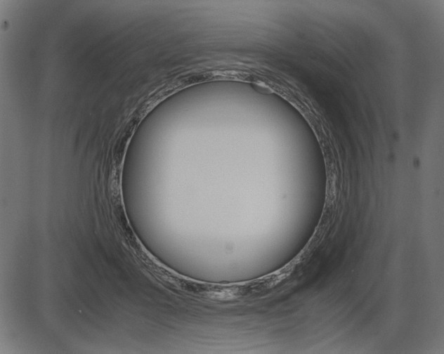 X0000087540411200704270929
