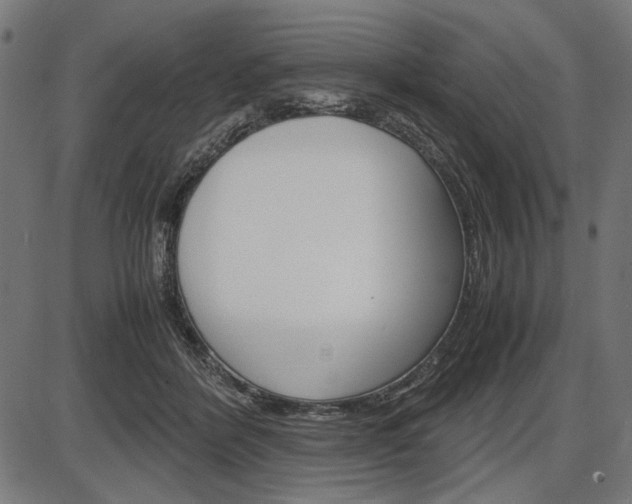X0000087540412200704270929