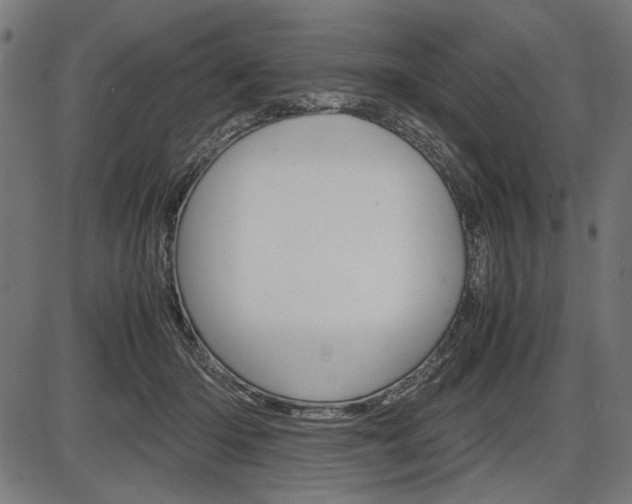 X0000087540414200704270929