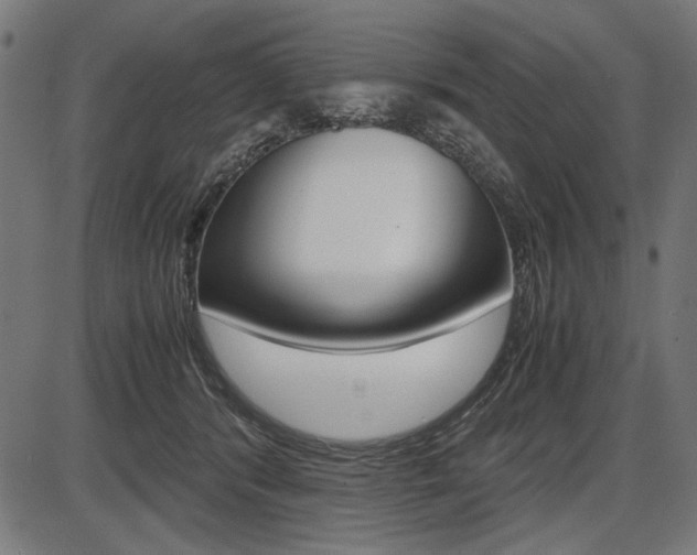 X0000087540416200704270928