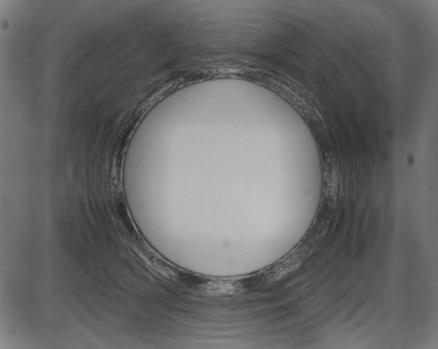 X0000087540418200704270928