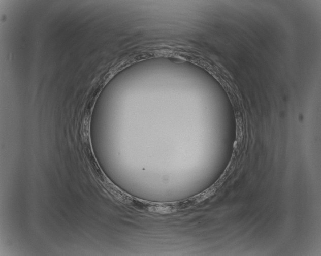 X0000087540419200704270928