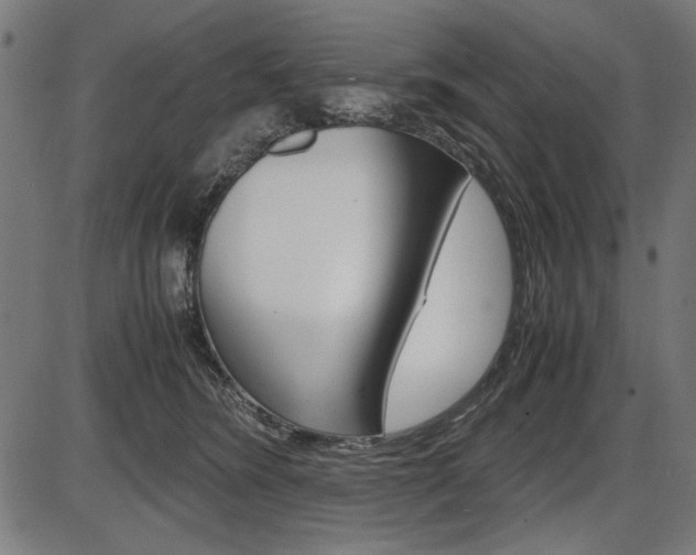 X0000087540420200704270928