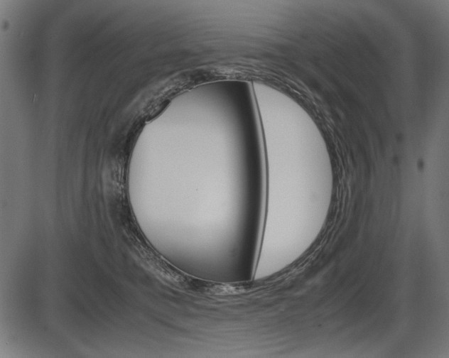 X0000087540421200704270928