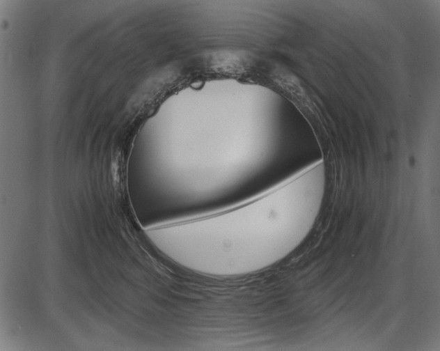 X0000087540424200704270928