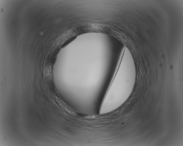 X0000087540425200704270928