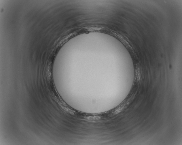 X0000087540426200704270928