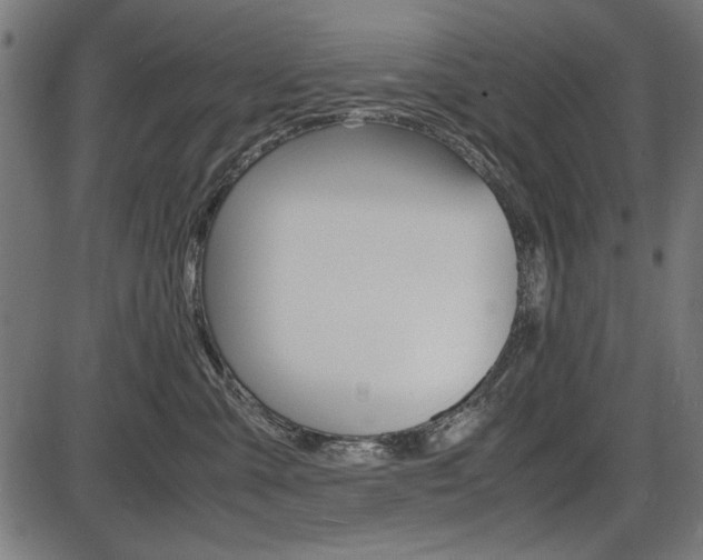 X0000087540427200704270928