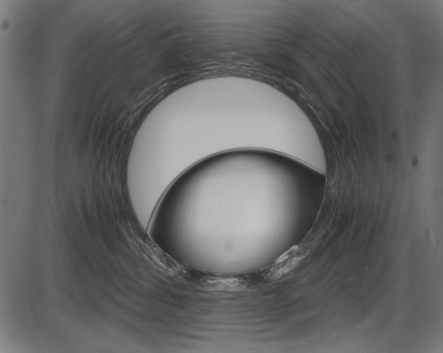 X0000087540428200704270928