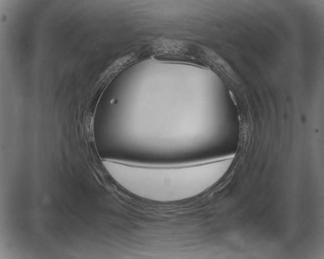 X0000087540429200704270928