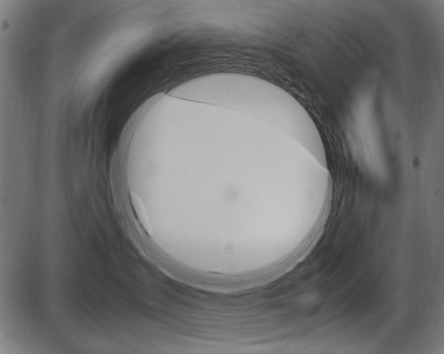 X0000087540431200704270928